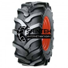 19.5L-24IND TI-05 S116TL