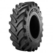 AGRIMAX FORTIS 15726850